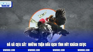 Đá gà cựa sắt