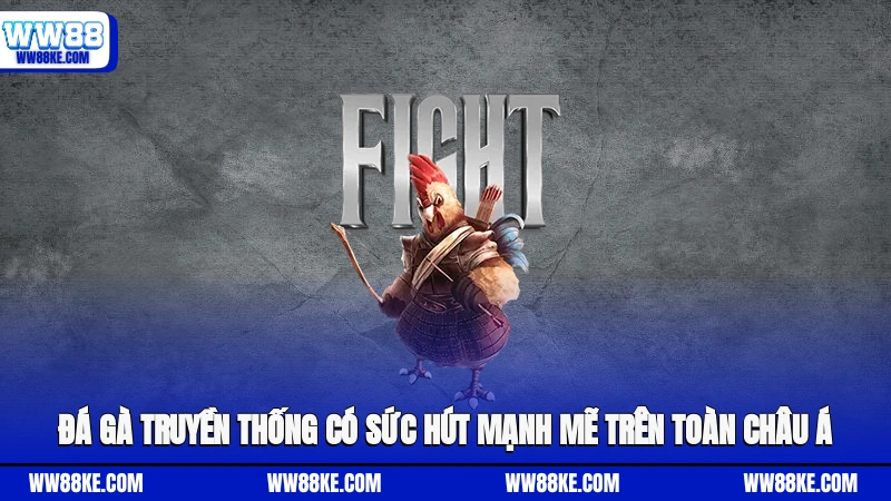 Đá gà truyền thống có sức hút mạnh mẽ trên toàn châu Á