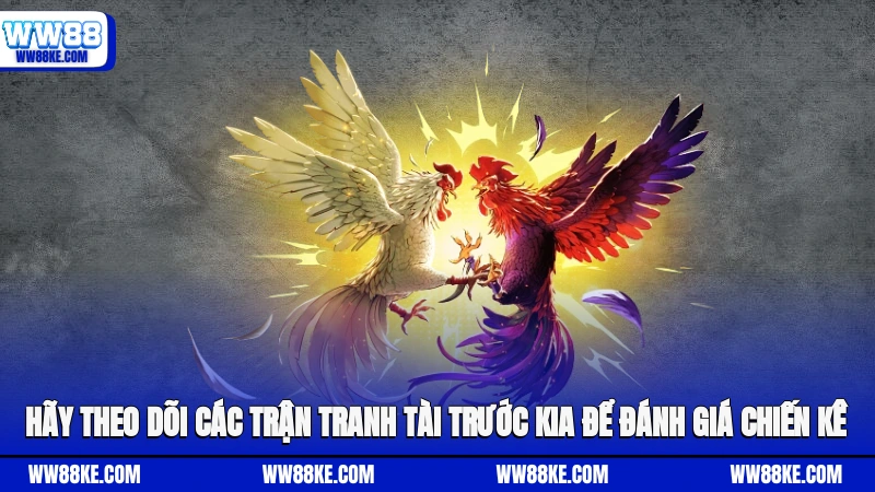 Hãy theo dõi các trận tranh tài trước kia để đánh giá chiến kê