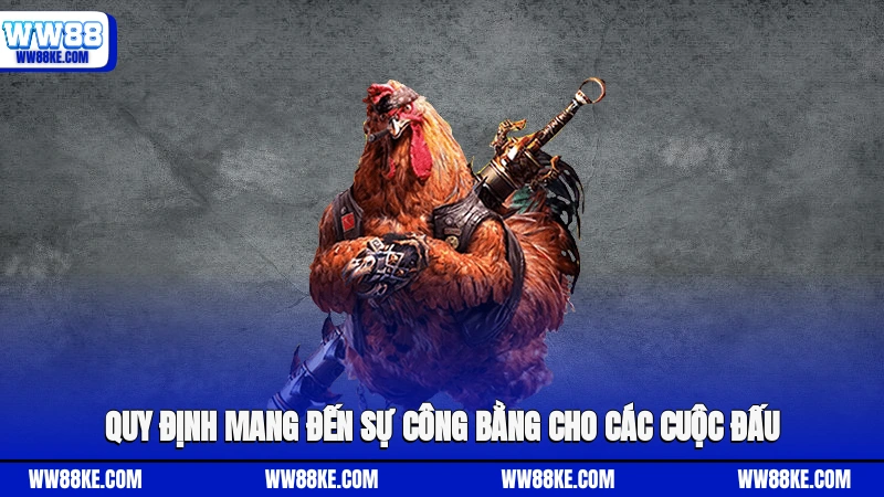 Quy định mang đến sự công bằng cho các cuộc đấu