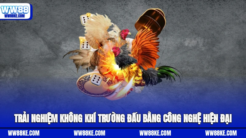 Trải nghiệm không khí trường đấu bằng công nghệ hiện đại