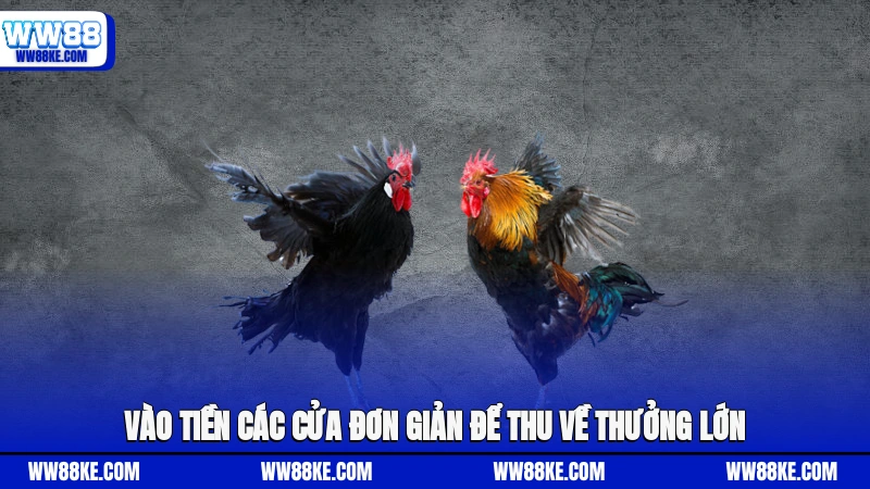 Vào tiền các cửa đơn giản để thu về thưởng lớn